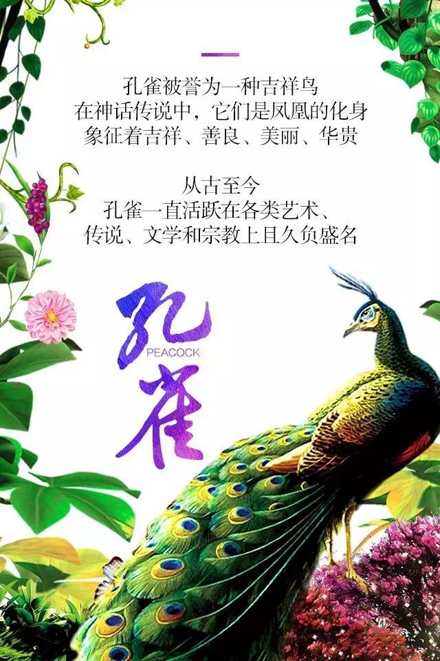 【915-918邵陽(yáng)秋季車(chē)展】鳳臨枝頭，雀雀雀雀雀實(shí)驚艷！