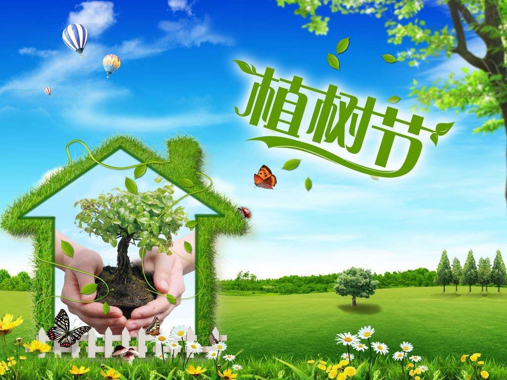 北京現代“智現代，植未來(lái)”，你我共建森林邵陽(yáng)